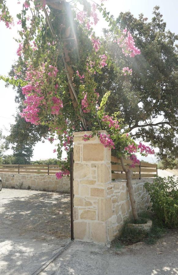 Studio Eleni - Oasis Holiday Houses Kokkinos Pirgos Exterior photo